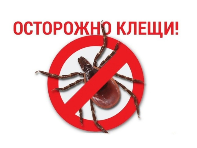 Осторожно! Клещи! Осторожно! Клещи!.